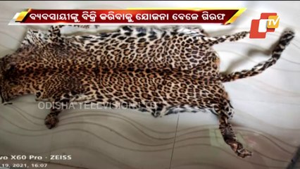 Leopard Skin Seized In Deogarh, 4 Arrested