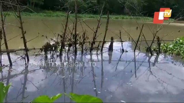 Crocodile Fear Grips Kendrapara Villagers