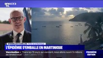 Covid-19: le préfet de la Martinique évoque un taux d'incidence 
