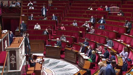 2ème séance : Gestion de la crise sanitaire (suite) - Mercredi 21 juillet 2021