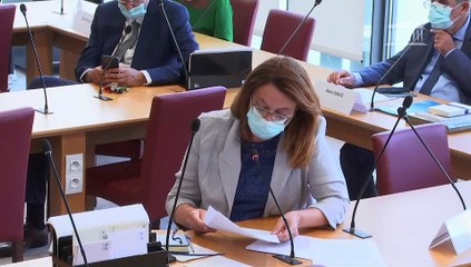 Commission des affaires étrangères : « l’Union européenne avant la présidence française » - Mercredi 21 juillet 2021