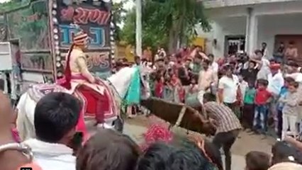 अचानक दूल्हे को लेकर भाग गई घोड़ी, बाराती कार व बाइक से करते रहे पीछा, देखें वायरल वीडियो