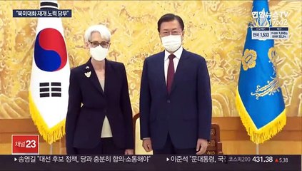 문대통령, 美국무 부장관 접견…"북미대화 재개 적극 노력 당부"