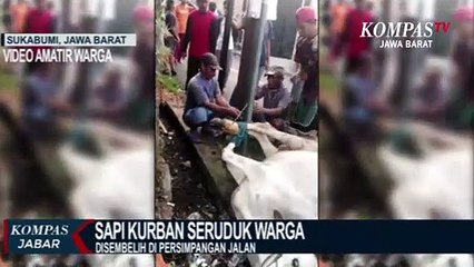 Korban Diseruduk Sapi Kurban Ngamuk, Alami Luka Dan Sesak