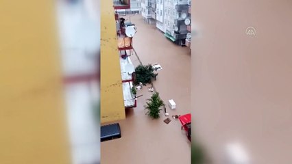 ARTVİN - Arhavi'de derenin taşması sonucu bazı ev ve iş yerlerini su bastı - Sel suyuna kapılan otomobil (2)