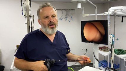 ZONGULDAK - Köpeğin yuttuğu çorap endoskopiyle çıkarıldı