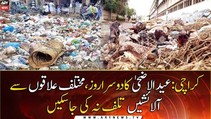 KarachiKarachi smells foul with unattended animal remains