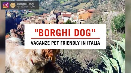 "Borghi Dog": così le vacanze diventano pet friendly
