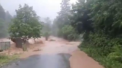Fındıklı'da sağanak nedeniyle dereler taştı (6)