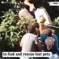Group reunites lost pets after Beirut explosion, with owners