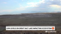 Low levels on Great Salt Lake impact ecosystem