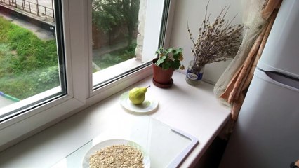 Cooking a Bachelor's Breakfast in Siberia❄️. Kitchen in The Soviet Union, a one-bedroom apartment.061421_3328