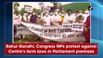 Rahul Gandhi, Congress MPs protest against Centre’s farm laws in Parliament premises