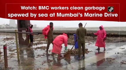Watch: BMC workers clean garbage spewed by sea at Mumbai's Marine Drive