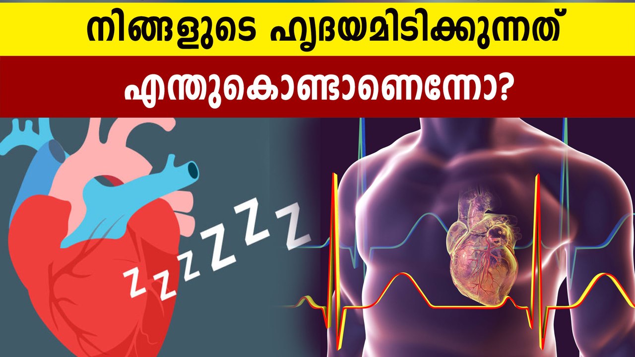 How Much Blood Our Heart Pumps/Hour ?