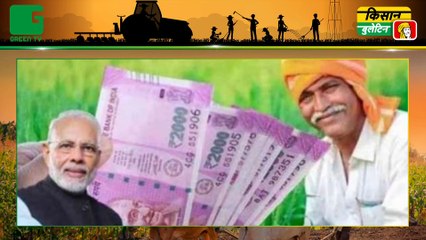 आलू की खेती (Farming of Potato) में अच्छी पैदावार (Yield / Production) दिलाएगा खास Application - उर्वरक ऐप : मिट्टी की रिपोर्ट देखकर खाद डालने की जानकारी | Kisan Bulletin | Green TV