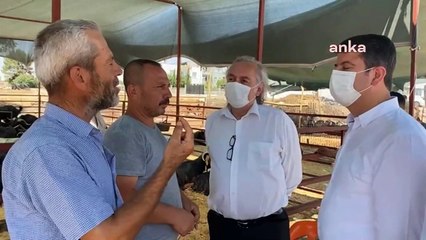 Besiciler hayvanlarını satamadı: 350 mal getirdim, 26 tane sattım