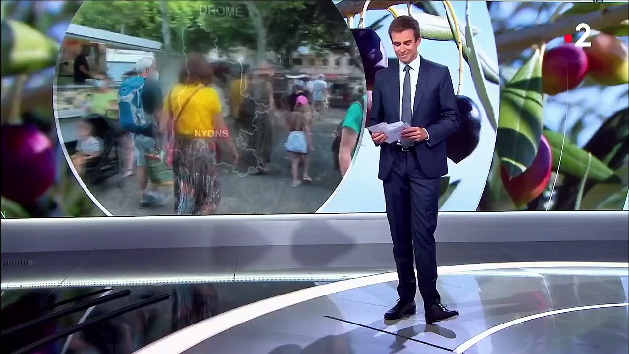 Olive de Nyons : la perle noire de la Drôme