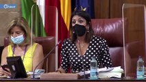 لحظة اقتحام جرذ لجلسة برلمانية في إسبانيا