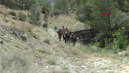 Kaçan kurbanlığın peşinden gittikten sonra kaybolan tıp öğrencisinden haber yok
