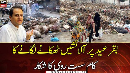 Eid ul Adha: Disposal of offal is being slow in Karachi