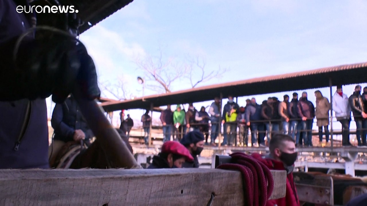 Buenos Aires dice adiós al mercado de ganado de Liniers