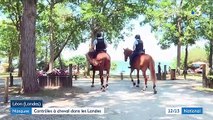 Port du masque : les gendarmes patrouillent à cheval dans les Landes