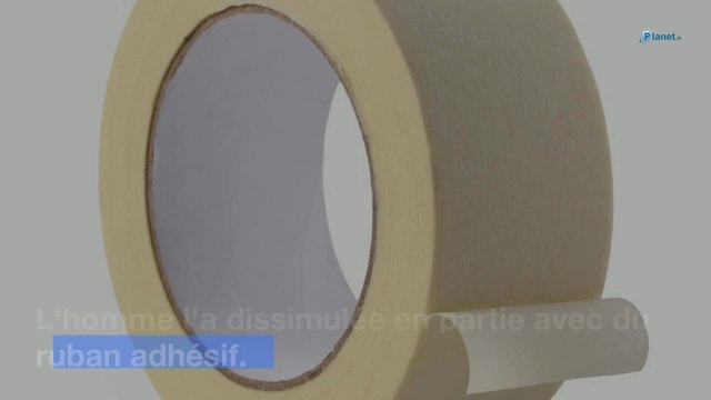 Excès de vitesse : l'étonnante astuce d'un automobiliste pour échapper aux radars automatiques