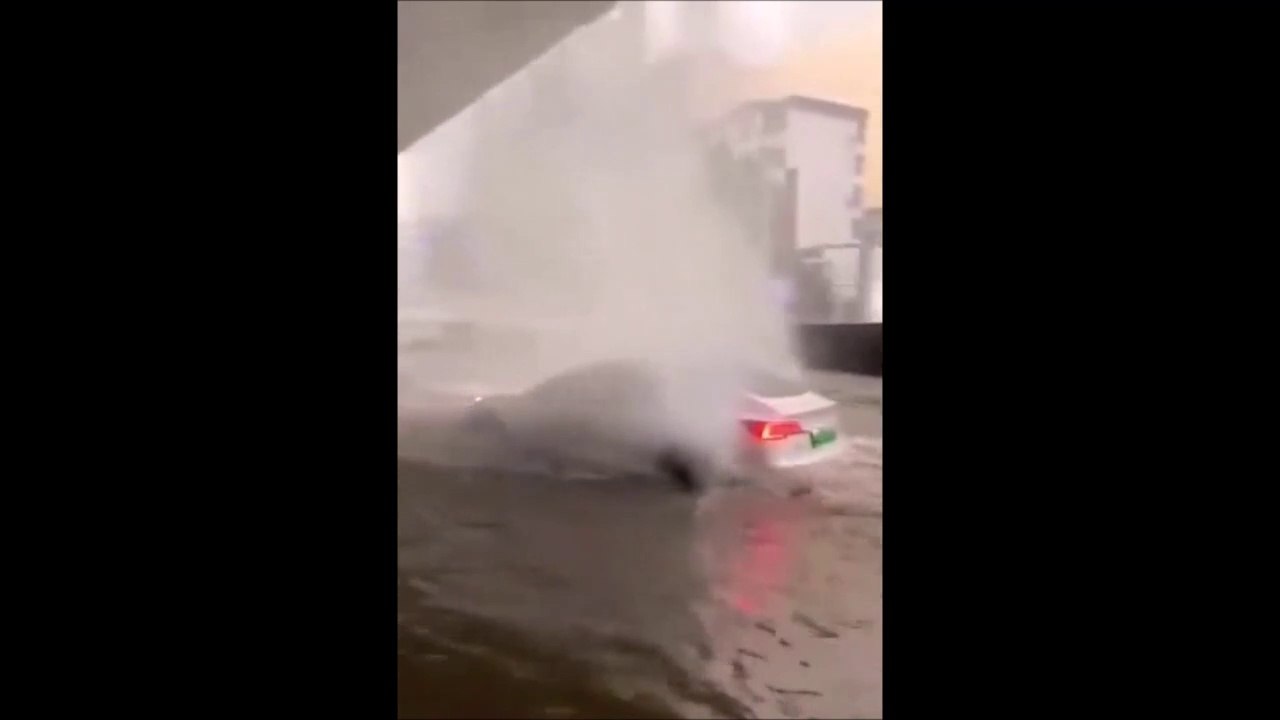 Les Tesla ont aussi un mode bateau apparement