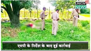 Up Breaking News ! Crime News Up Amroha City ! Police Take Action ! अमरोहा में लड़की से छेड़खानी Viral Video