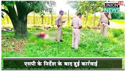 Up Breaking News ! Crime News Up Amroha City ! Police Take Action ! अमरोहा में लड़की से छेड़खानी Viral Video
