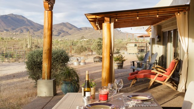 Meet Majestic Horses and Catch Gorgeous Sunsets at This Arizona Airbnb on a Working Horse