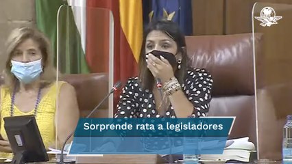 Rata irrumpe en sesión del Parlamento de Andalucía, en España