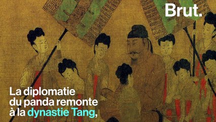 C'est quoi la "diplomatie du panda" ?