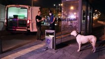 GAZİANTEP - Silahlı saldırıda ölen kişinin köpeği olay yerinden ayrılmadı
