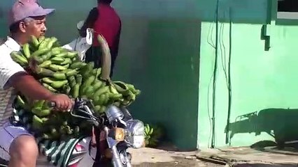 Mercado tampoco funcionó en Pedernales