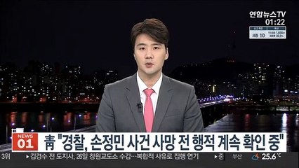 靑, '손정민 사건'에 "경찰, 사망전 행적은 계속 확인중"