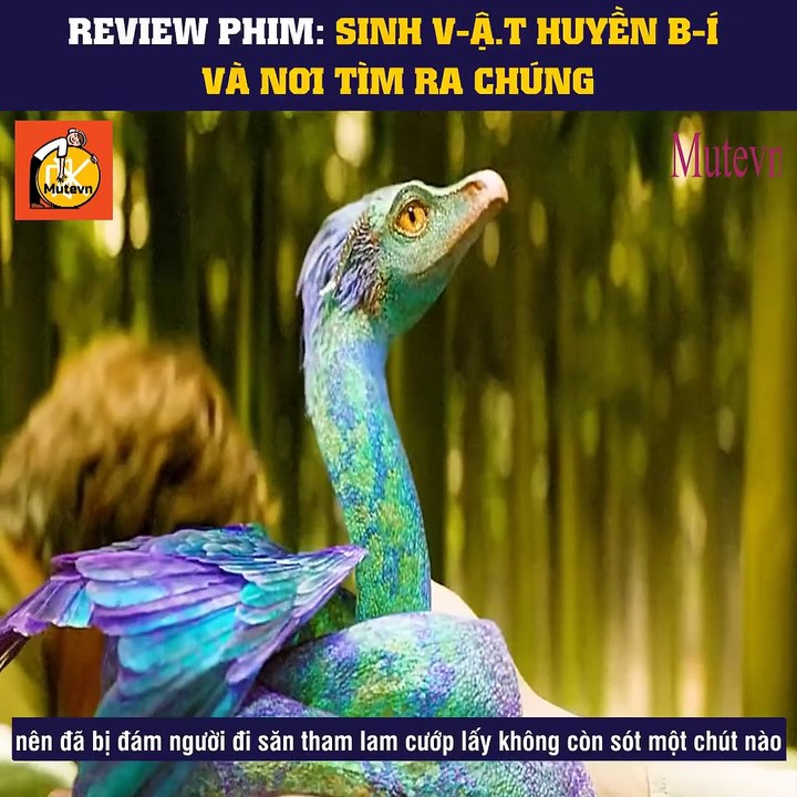 Movies - (15).mp4