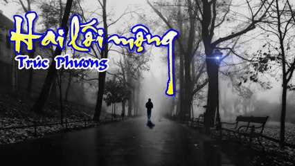 [Karaoke] HAI LỐI MỘNG - Trúc Phương (Giọng Nữ)