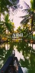 Tamil Whatsapp Status ❣️ | Morning Vibes - Nature Lovers Forver |