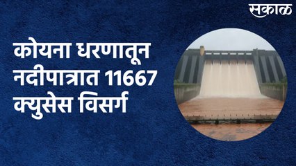 Koyna Dam : नदीपात्रात 11667 क्युसेस विसर्ग