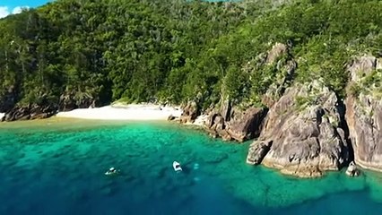 Aust. proposes to delay ruling on if reef is 'in danger'