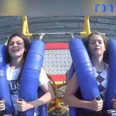 Elle se fait gifler par une mouette