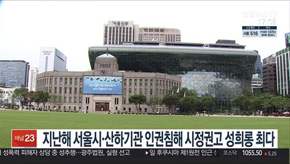 지난해 서울시·산하기관 인권침해 시정권고 31건…성희롱 최다