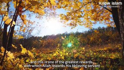 45. أولياء الله وغض البصر  د. محمد سعود الرشيدي