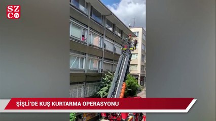 Mahsur kalan kuşu kurtarma operasyonu
