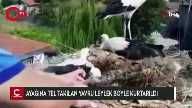 Ayağına tel takılan yavru leyleği itfaiye ekipleri kurtardı