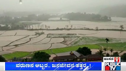 Heavy Rain In Hassan; Hundreds Of Acres Paddy Fields Submerged
