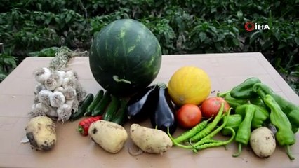 Atıl durumdaki araziyi ekilebilir hale getirdi, 2 milyon lira kazanç bekliyor