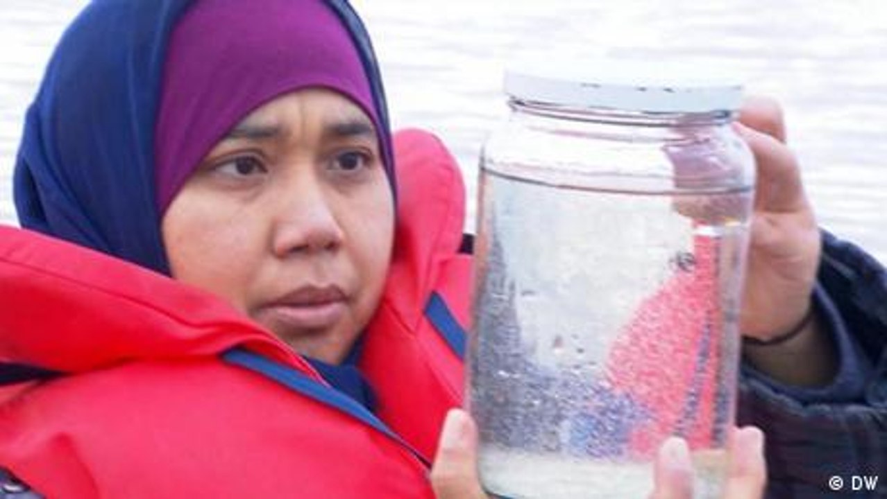 Die Erforschung der Wasserflöhe